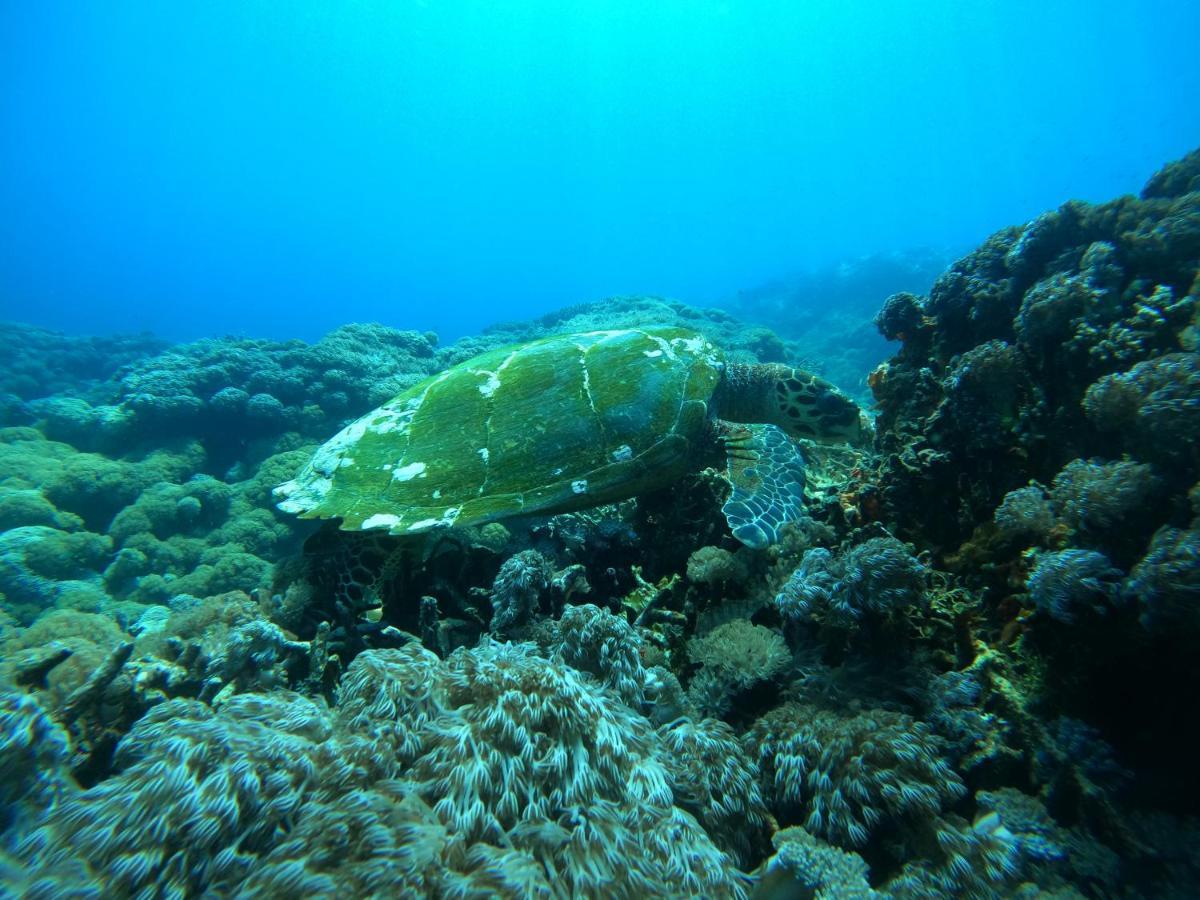 Lebaoh Nusa Cottage นูซาเลมโบงัน ภายนอก รูปภาพ