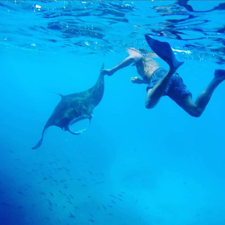 Lebaoh Nusa Cottage นูซาเลมโบงัน ภายนอก รูปภาพ