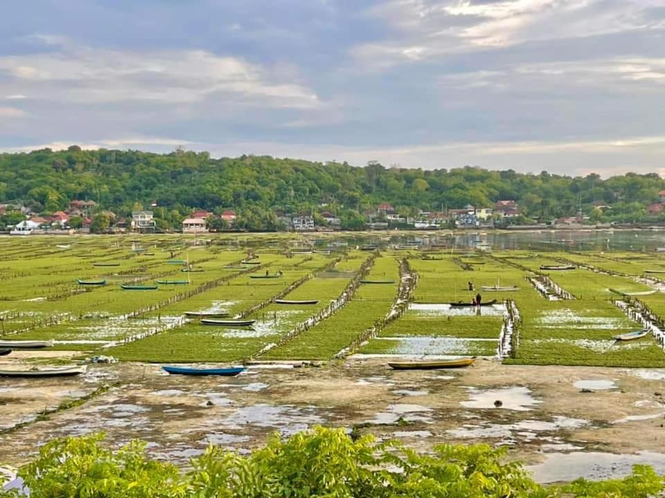 Lebaoh Nusa Cottage นูซาเลมโบงัน ภายนอก รูปภาพ